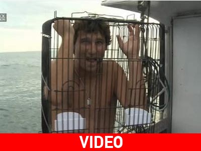 Κολύμπησε με τους καρχαρίες με προστασία ένα κλουβί για πουλιά