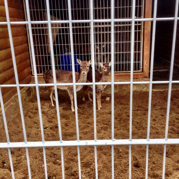 Ιδιωτικός ζωολογικός κήπος