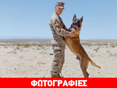Σκύλοι-ήρωες στην υπηρεσία του στρατού