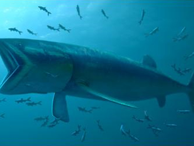 Το μεγαλύτερο ψάρι στον κόσμο Το μεγαλύτερο ψάρι στον κόσμο