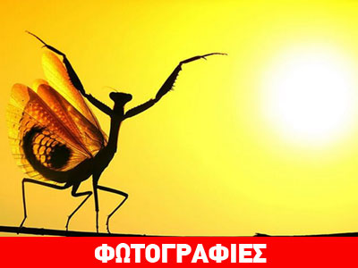 Οι υποψήφιες φωτογραφίες για το βραβείο του National Geographic