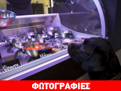 Το πρώτο εστιατόριο για κατοικίδια