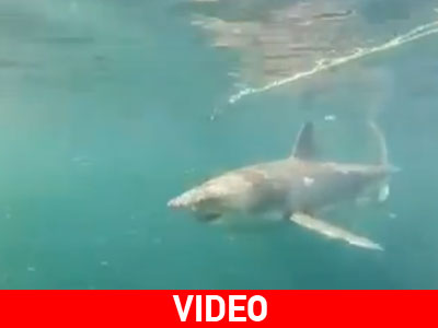 «Clever Buoy»: Mια καινοτομία από την Αυστραλία «Clever Buoy»: Mια καινοτομία από την Αυστραλία