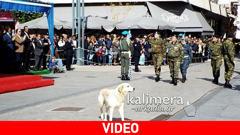Παρέλασε και … σκύλος την «28η Οκτωβρίου» στην Τρίπολη