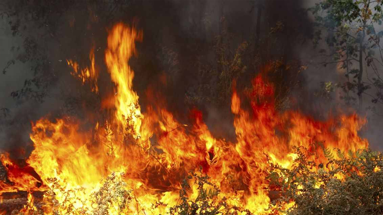 Φωτιά στον Άγιο Βασίλειο Κορινθίας