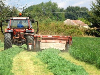 Έως το τέλος του έτους η προκαταβολή ύψους 136 εκατ. ευρώ σε χιλιάδες νέους αγρότες