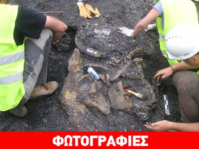 Aνακάλυψαν νέο είδος δεινοσαύρων;