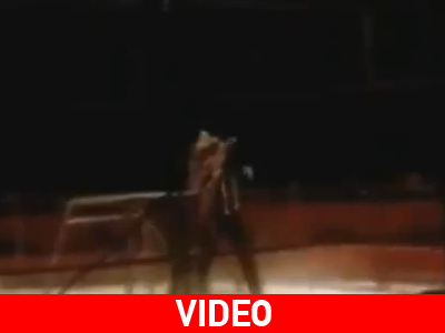 Σοκ: Τίγρης επιτίθεται σε θηριοδαμαστή