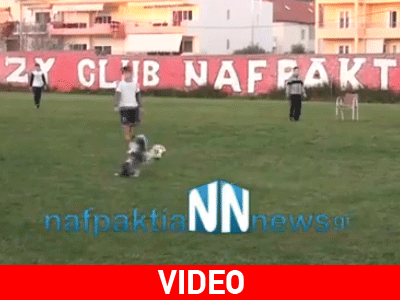 Τετράποδος άσος του ποδοσφαίρου!