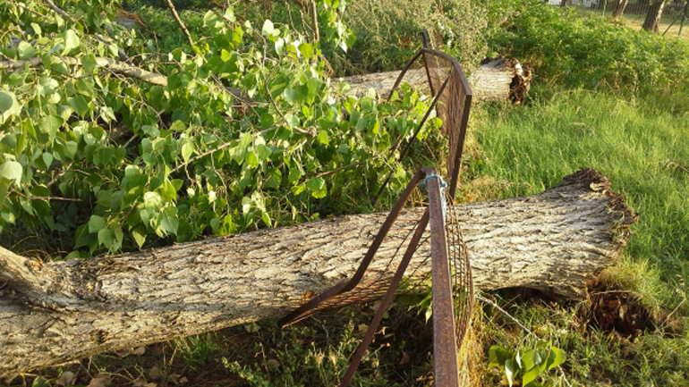 Ανεμοθύελλα έπληξε την Δολίχη