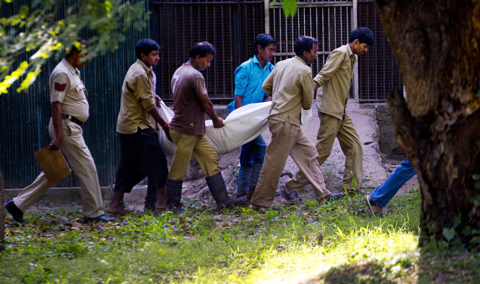 Πτώμα σε Ζωολογικό Κήπο