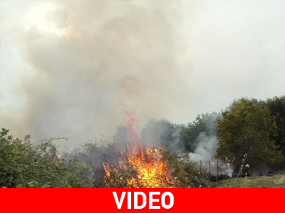 Φωτιά κοντά στη Φοινικούντα Μεσσηνίας