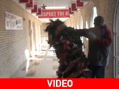 Ζωντάνεψε το χριστουγεννιάτικο δέντρο!