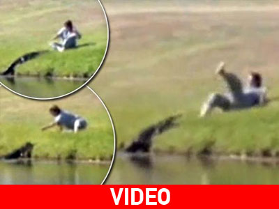 Αποκαλεί τον αλιγάτορα κατοικίδιο και τον ταΐζει