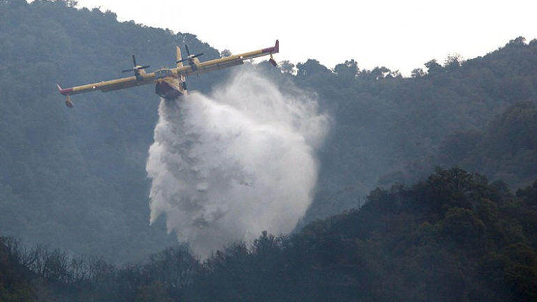 Πυρκαγιά σε δασική περιοχή στο Άστρος Κυνουρίας