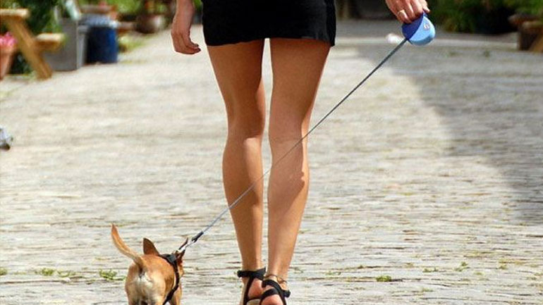 Θέλετε να βρείτε σύντροφο; Πάρτε ένα σκύλο