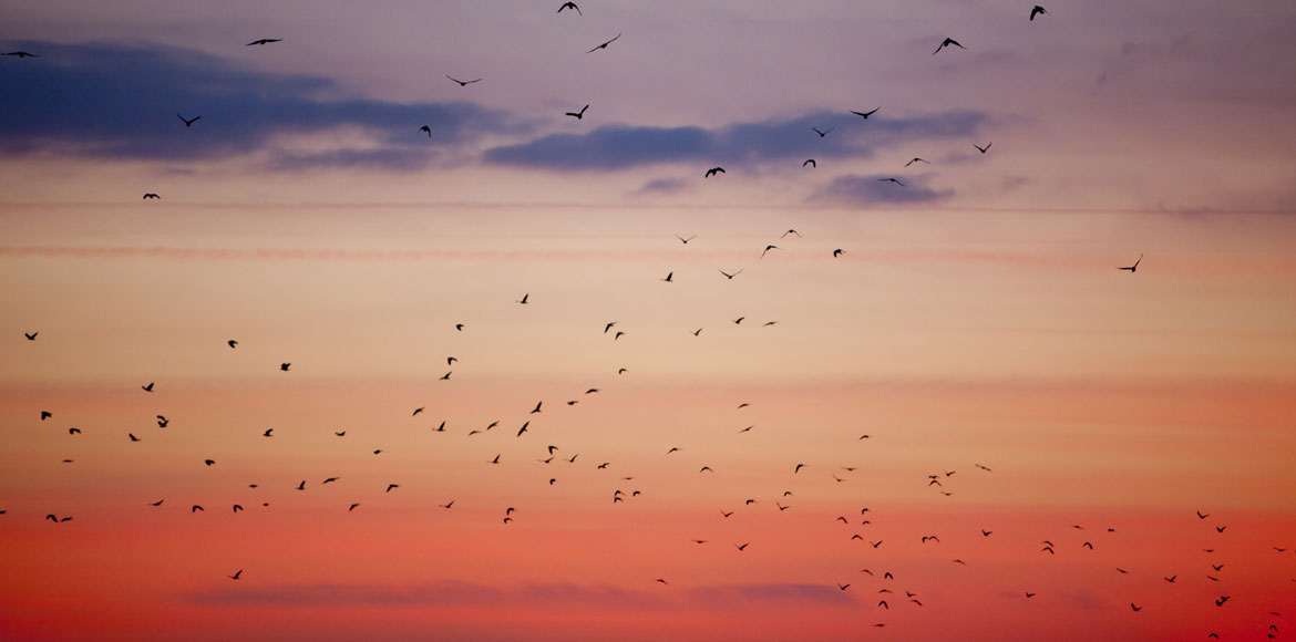 Ένας υπέροχος ουρανός
