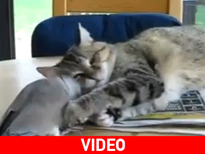 Ριψοκίνδυνα… πειράγματα