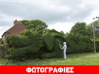 Ένα γλυπτό από θάμνους!