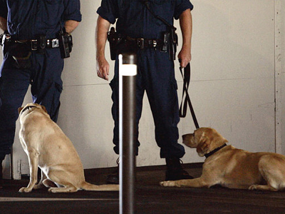 Ξέχασε εκρηκτικά στο αεροδρόμιο η αστυνομία της Αυστραλίας