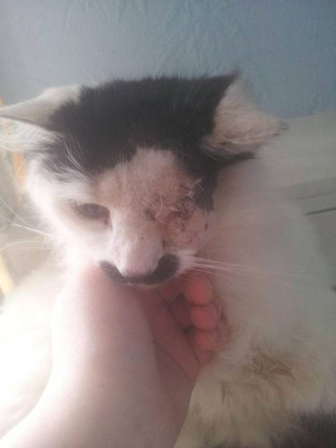 Ο Μπαζ έπειτα από τη βάναυση επίθεση