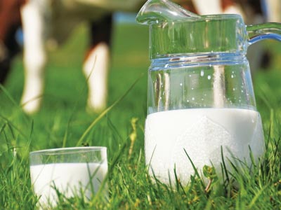 Μείωση της παραγωγής γάλακτος-Αύξηση της τιμής