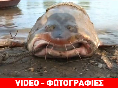 Πλήρωσε 10.000 δολάρια για να σώσει έναν οξύρρυγχο!