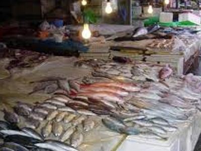 Κατάσχεση αλιευμάτων στην Πάτρα