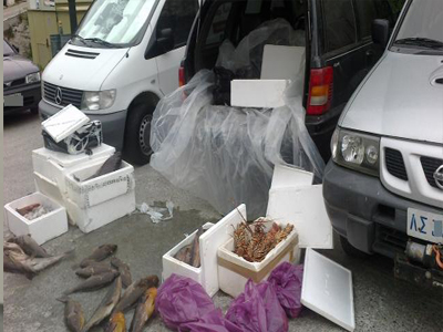 Δέσμευση μεγάλης ποσότητας παράνομων αλιευμάτων στην Άνδρο