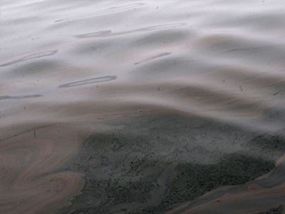 Ρύπανση στο νέο Μώλο Δραπετσώνας