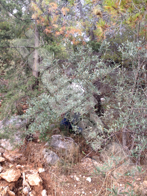 Η περιοχή όπου εντοπίστηκε ο αυτόχειρας