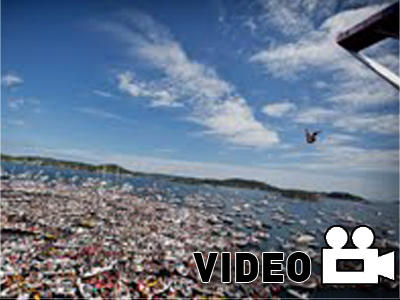 Red Bull Cliff Diving World Series