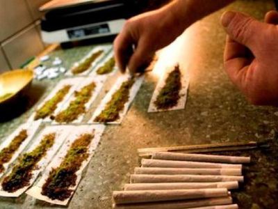 Σύλληψη για κατοχή δενδρυλλίων  στην Κέρκυρα