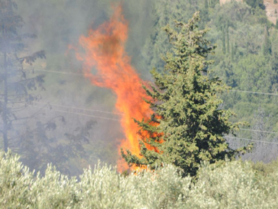 Πύρινο μέτωπο στη Σκάλα Λακωνίας