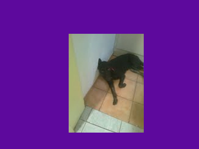 Μήπως τον ψάχνει κανείς;