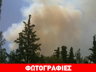 Ενισχύονται οι πυροσβεστικές δυνάμεις για την κατάσβεση στο Σέιχ Σου