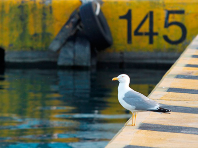 “Ευέλικτες συμβάσεις εργασίας” στα λιμάνια