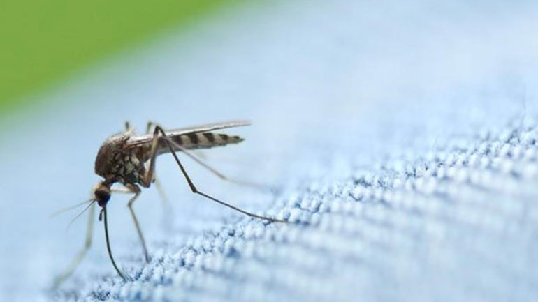 Κεντρική Μακεδονία: Ολοκληρώνονται οι αεροψεκασμοί κατά των κουνουπιών