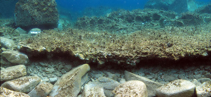 Άποψη προς ανατολάς του δαπέδου με πακτωμένα σε διάταξη 16 πήλινα αγγεία