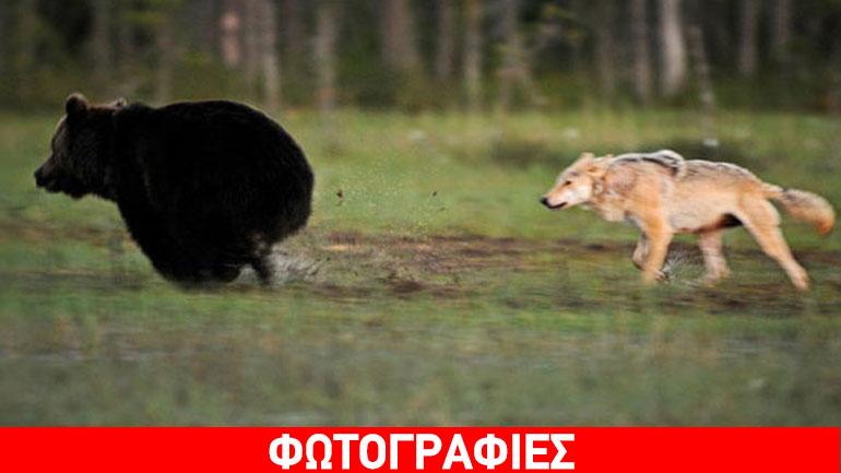 Μια… ασυνήθιστη φιλία