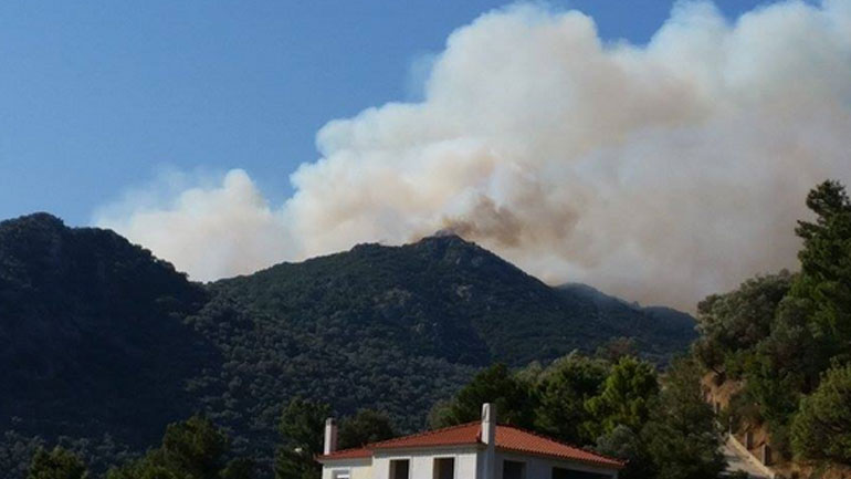Μαίνεται η φωτιά στη Λέσβο – Ενισχύονται οι δυνάμεις κατάσβεσης Μαίνεται η φωτιά στη Λέσβο – Ενισχύονται οι δυνάμεις κατάσβεσης