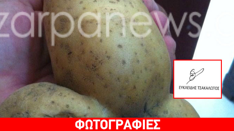 Η πατάτα που παραπέμπει στην… υπογραφή του Τσακαλώτου!