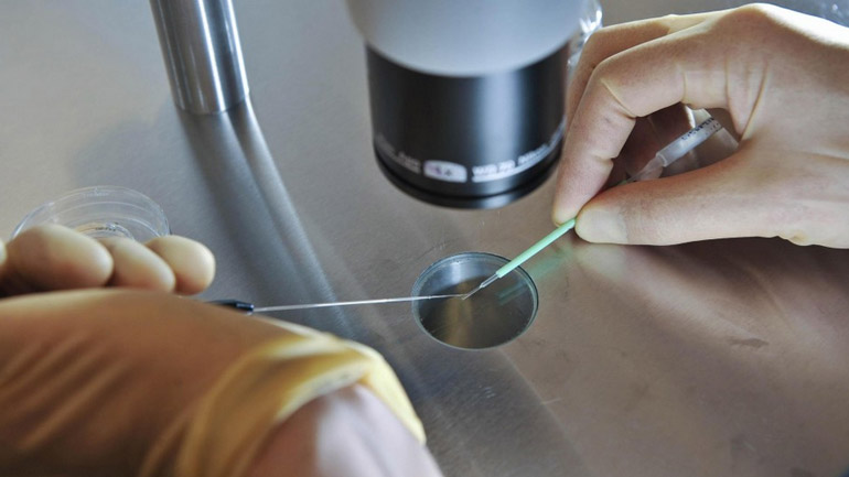 Κατάψυξη ωαρίων: Η λύση στο δίλημμα των γυναικών «παιδί ή καριέρα»