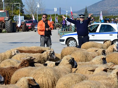 Πανελλαδική κινητοποίηση κτηνοτρόφων στις 12 Ιανουαρίου