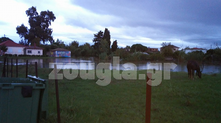 Πλημμύρες στην Αρετή Ηλείας/ Φωτό αναγνώστριας