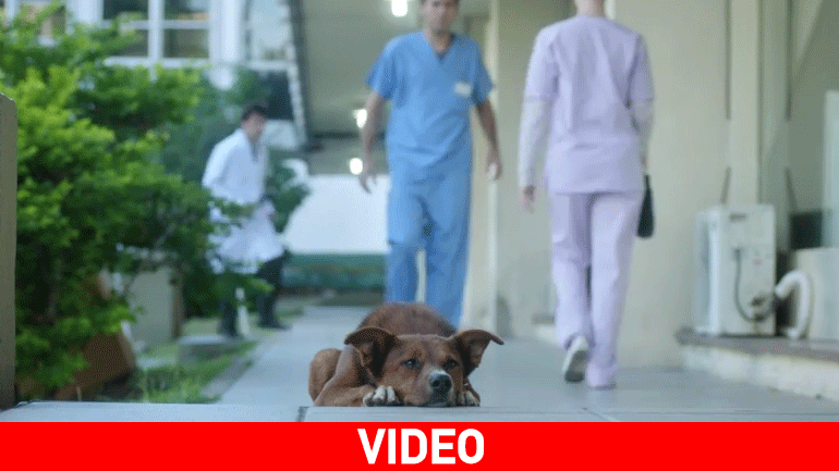 Ο «Χάτσικο» πρωταγωνιστής σε βίντεο για τη δωρεά οργάνων