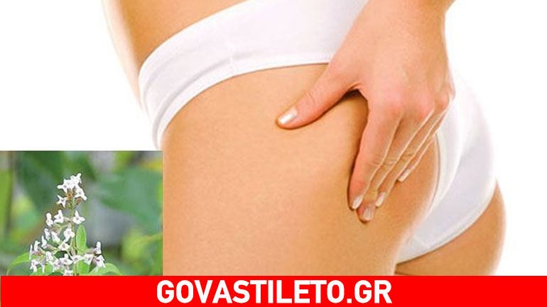 Η λουίζα καταπολεμά την κυτταρίτιδα και λιώνει το λίπος