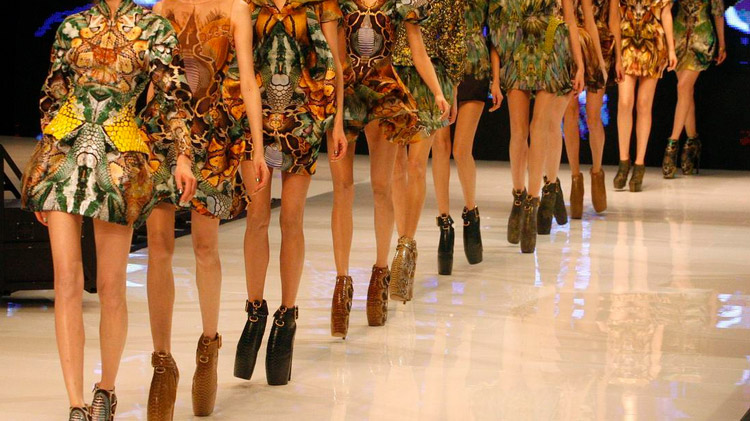 Γαλλία: Υπερψηφίστηκε το σχέδιο νόμου για τα υποσιτισμένα μοντέλα