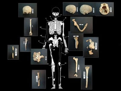 Η απάντηση του υπ. Πολιτισμού για όσα ειπώθηκαν περί ύπαρξης επιπλέον σκελετών στην Αμφίπολη