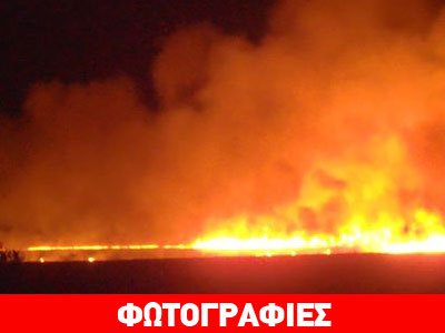 Πυρκαγιές μαίνονται σε Άνδρο και Εύβοια